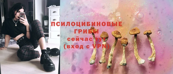 ПСИЛОЦИБИНОВЫЕ ГРИБЫ Семикаракорск
