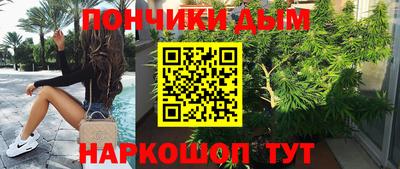 крисы Бийск