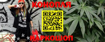 крисы Бийск