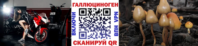 Галлюциногенные грибы мицелий Ростов-на-Дону