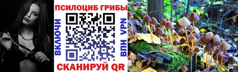Галлюциногенные грибы GOLDEN TEACHER  магазин продажи   Ростов-на-Дону 