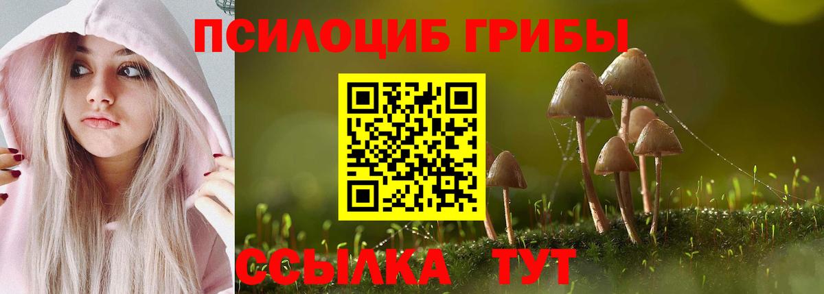 Галлюциногенные грибы Psilocybe Ростов-на-Дону