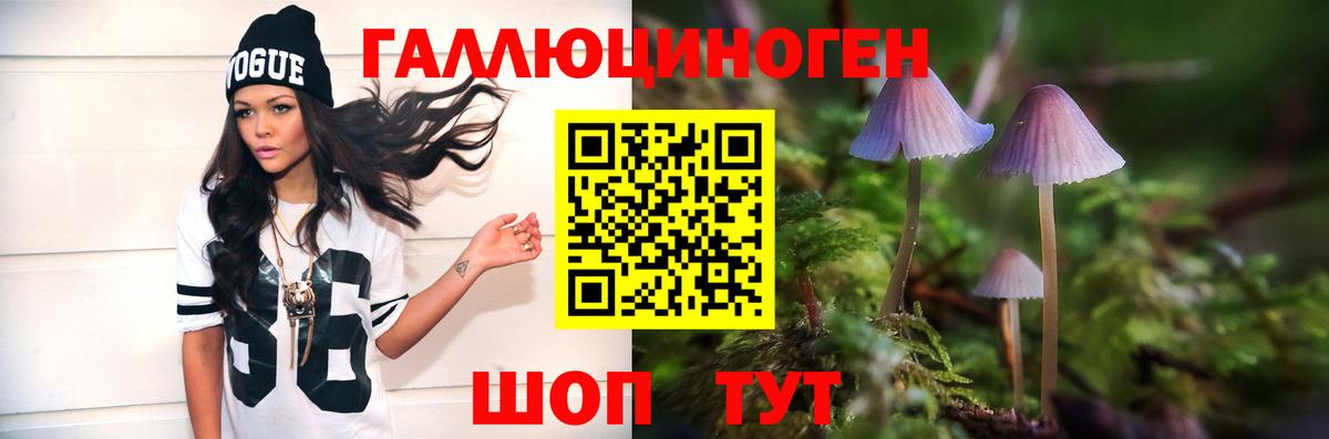 Ростов-на-Дону  Псилоцибиновые грибы Magic Shrooms  Вход с VPN 